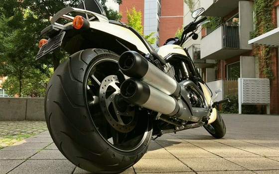 Gebrauchtmotorrad Harley-Davidson Night Rod Special VRSCDX - Bild 7