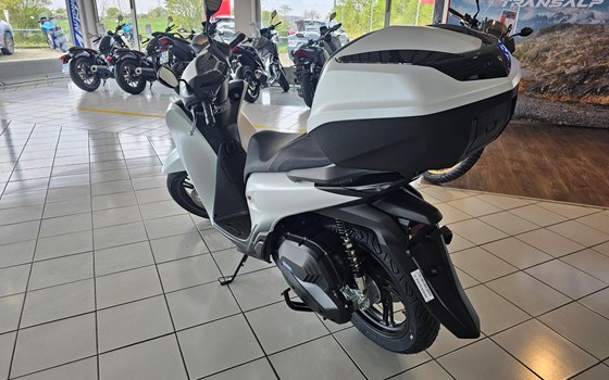 Neufahrzeug Honda SH125i - Bild 4