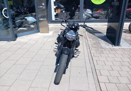 Gebrauchte Moto Guzzi V7 Stone