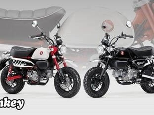 Neumotorrad Neumotorrad