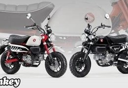 Neumotorrad Honda Monkey 125