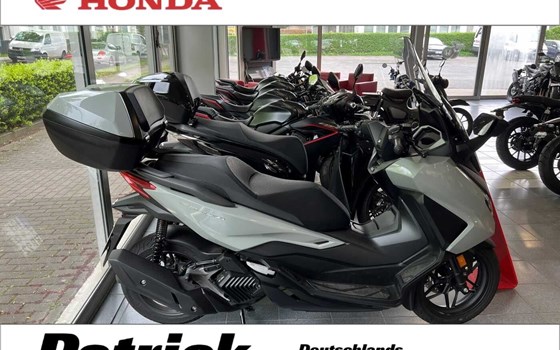 Gebrauchtmotorrad Honda Forza 125 - Bild 1