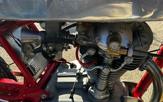 Gebrauchtmotorrad Ducati 350 Desmo - Bild 13