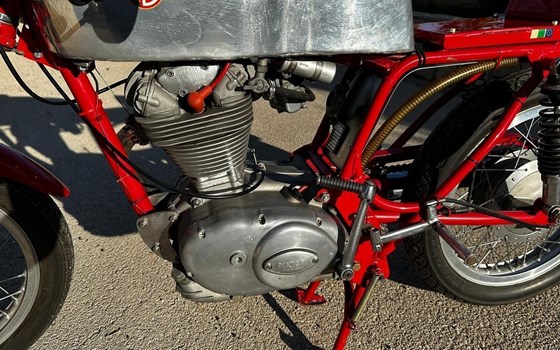 Gebrauchtmotorrad Ducati 350 Desmo - Bild 3