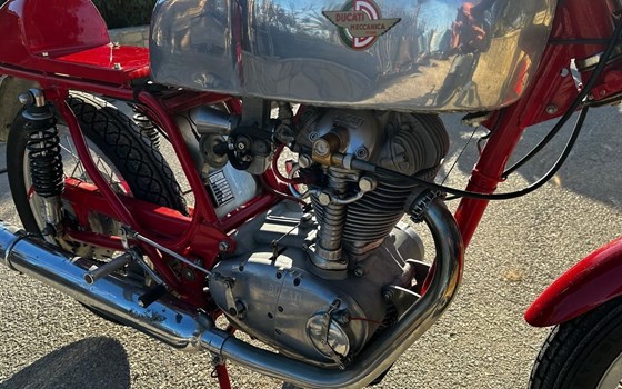 Gebrauchtmotorrad Ducati 350 Desmo - Bild 7