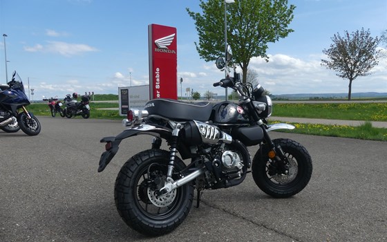 Gebrauchtmotorrad Honda Monkey 125 - Bild 16