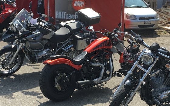 Motorrad Occasion Harley-Davidson Custom Bike - Bild 9