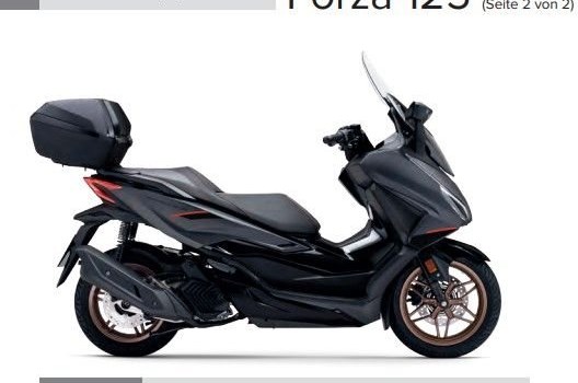 Neufahrzeug Honda Forza 125 - Bild 1