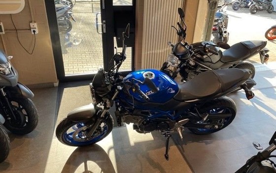 Neufahrzeug Suzuki SV650 - Bild 3