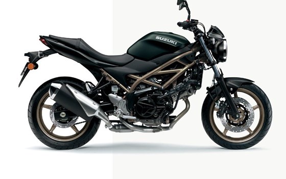 Neufahrzeug Suzuki SV650 - Bild 1