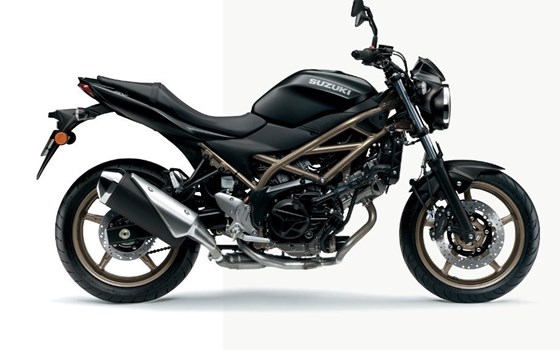 Neufahrzeug Suzuki SV650 - Bild 3