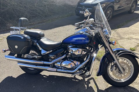 SUZUKI Intruder C/M 800 - Kaufberatung