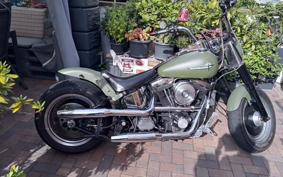Gebrauchtmotorrad Harley-Davidson Softail Fat Boy FLSTF - Bild 1