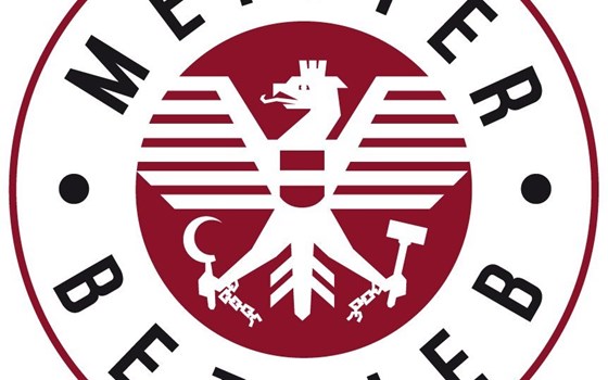 Neufahrzeug Zontes 703F - Bild 5