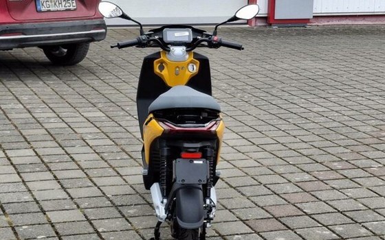 Neufahrzeug Piaggio 1 + - Bild 4