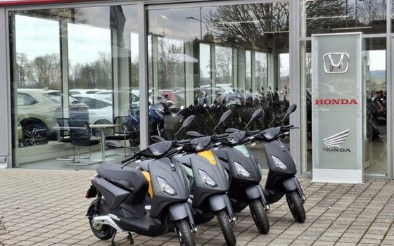 Neufahrzeug Piaggio 1 + - Bild 7