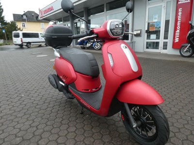 Filly 50i