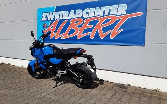 Gebrauchtmotorrad Honda MSX 125 - Bild 8