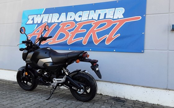 Gebrauchtmotorrad Honda MSX 125 - Bild 3