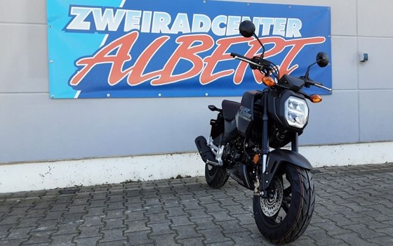 Gebrauchtmotorrad Honda MSX 125 - Bild 8