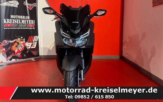 Gebrauchtmotorrad Honda Forza 125 - Bild 2