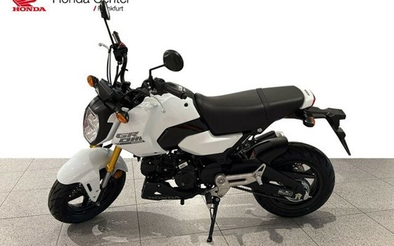 Neufahrzeug Honda MSX125 Grom - Bild 2
