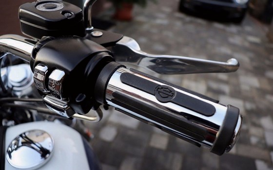 Gebrauchtmotorrad Harley-Davidson Dyna Low Rider FXDL - Bild 11