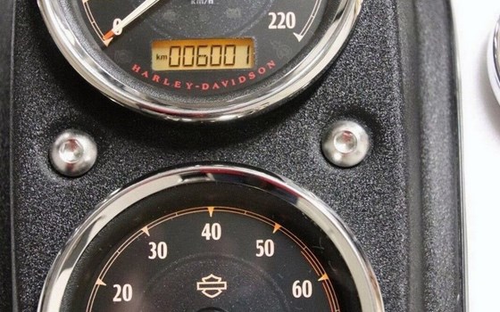 Gebrauchtmotorrad Harley-Davidson Dyna Low Rider FXDL - Bild 2