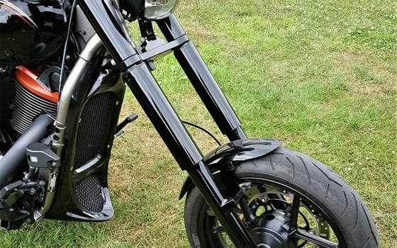 Gebrauchtmotorrad Kawasaki VN 900 Custom - Bild 2