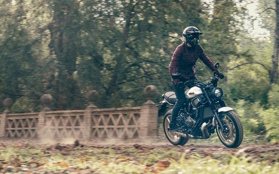 Neufahrzeug Yamaha XSR700 Legacy - Bild 3