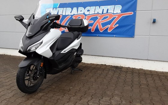 Gebrauchtmotorrad Honda Forza 125 - Bild 8