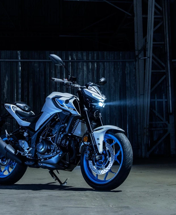 Yamaha MT-03<br />ICE STORM