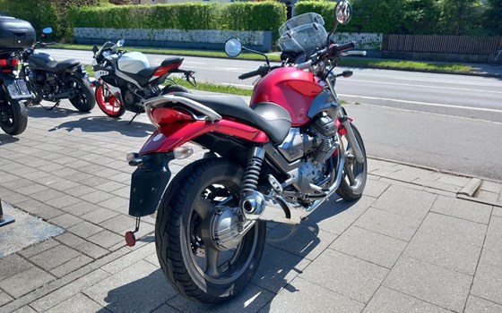 Gebrauchtmotorrad Moto Guzzi Breva 750 - Bild 6