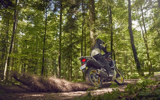 Neufahrzeug Honda XL750 Transalp - Bild 10 Neufahrzeug Honda XL750 Transalp - Bild 10