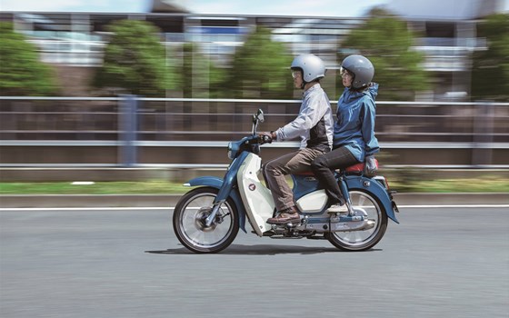 Neufahrzeug Honda Super Cub C 125 - Bild 11 Neufahrzeug Honda Super Cub C 125 - Bild 11