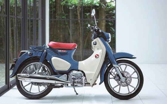 Neufahrzeug Honda Super Cub C 125 - Bild 8 Neufahrzeug Honda Super Cub C 125 - Bild 8