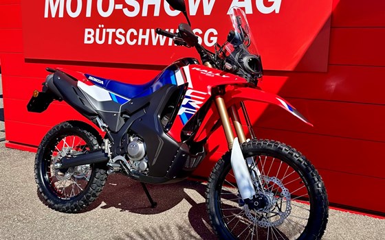 Offre Honda CRF300 Rally - Image 2