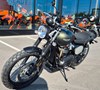Triumph Scrambler 900