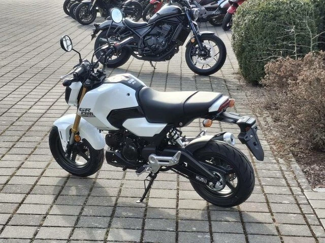 Offer Honda MSX125 Grom Bild 3: Offer Honda MSX125 Grom