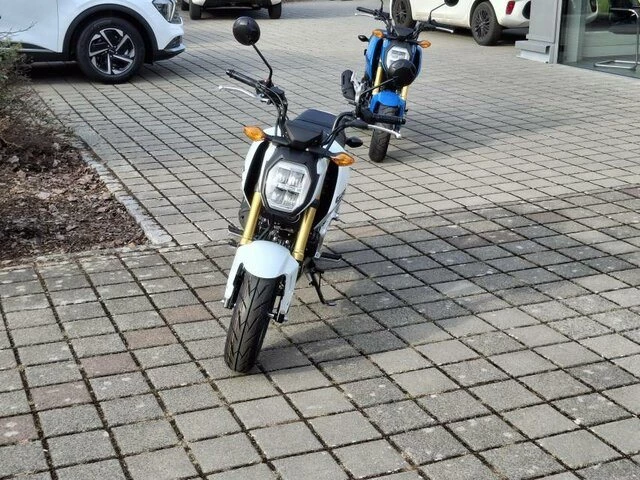Offer Honda MSX125 Grom Bild 4: Offer Honda MSX125 Grom