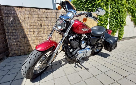 Gebrauchtmotorrad Harley-Davidson Sportster XL 1200C Custom - Bild 5 Gebrauchtmotorrad Harley-Davidson Sportster XL 1200C Custom - Bild 5