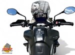 Offer Triumph Tiger 1200 Rally PRO