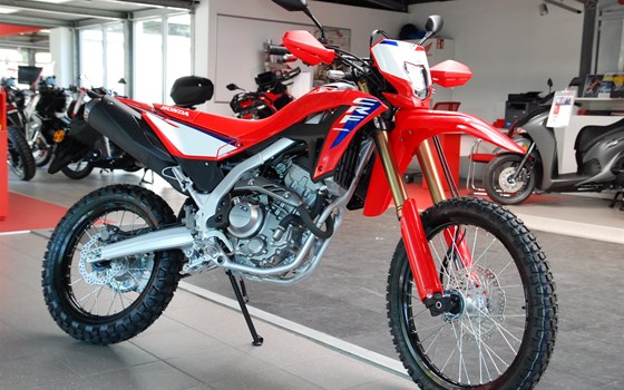 Neufahrzeug Honda CRF300L - Bild 3