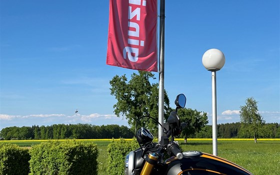 Gebrauchtmotorrad Ducati Scrambler 1100 Sport - Bild 5