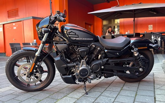 Gebrauchtmotorrad Harley-Davidson Nightster - Bild 4