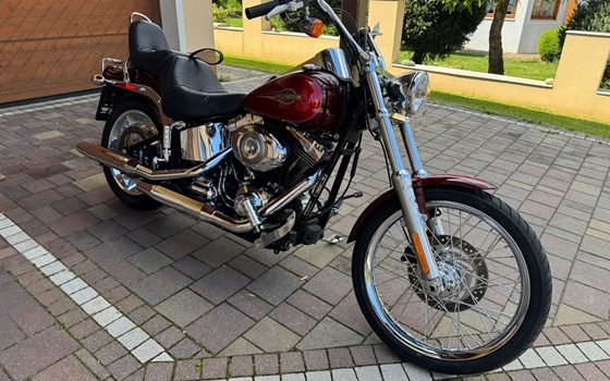 Gebrauchtmotorrad Harley-Davidson Softail Custom FXSTC - Bild 3 Gebrauchtmotorrad Harley-Davidson Softail Custom FXSTC - Bild 3