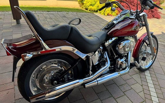 Gebrauchtmotorrad Harley-Davidson Softail Custom FXSTC - Bild 9 Gebrauchtmotorrad Harley-Davidson Softail Custom FXSTC - Bild 9