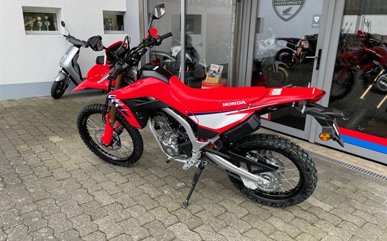 Neufahrzeug Honda CRF300L - Bild 6