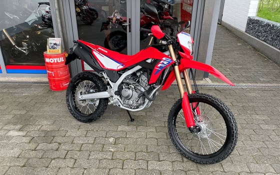 Neufahrzeug Honda CRF300L - Bild 1