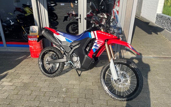 Neufahrzeug Honda CRF300 Rally - Bild 1